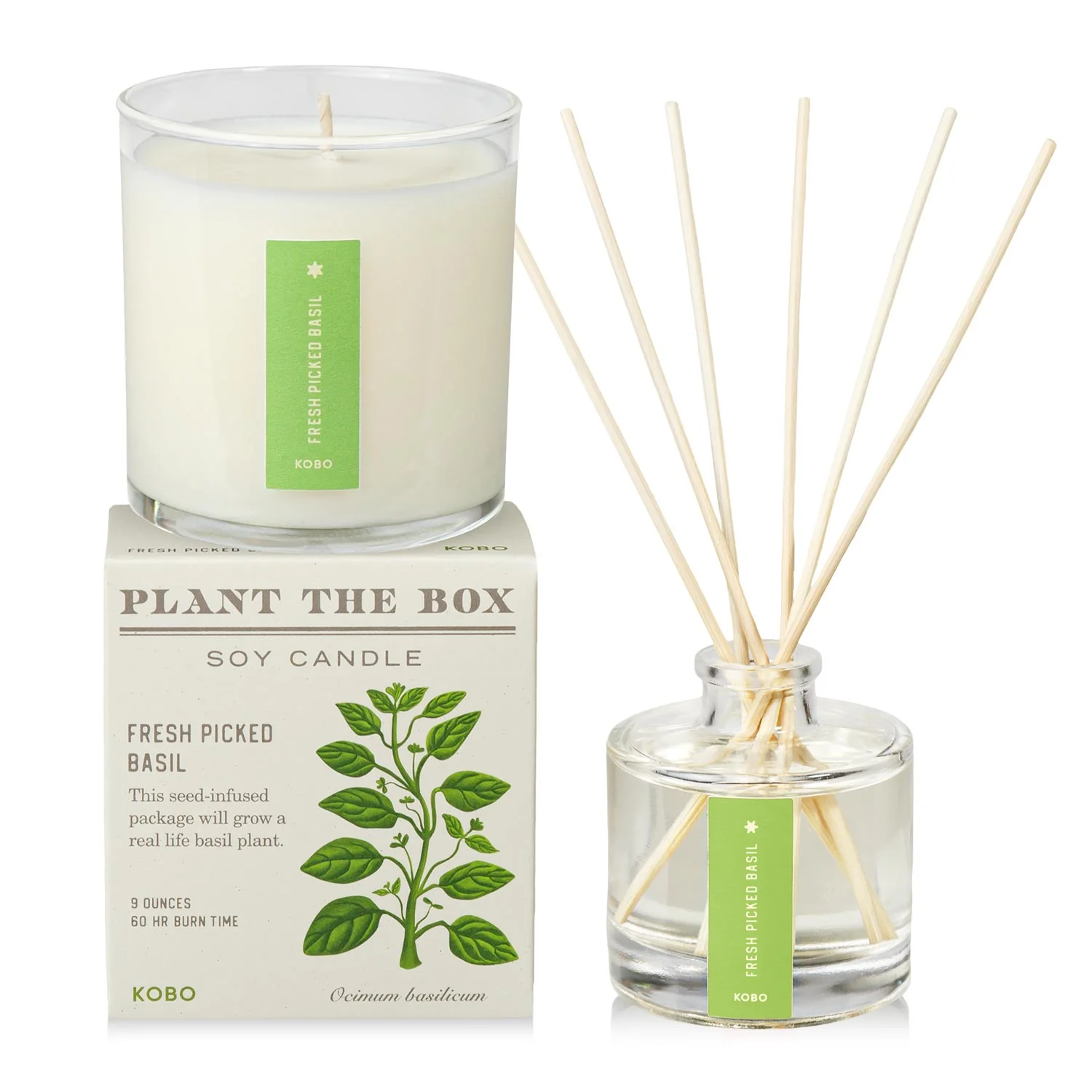 Fresh Picked Basil Plant the Box Duo (2 piece) #711859