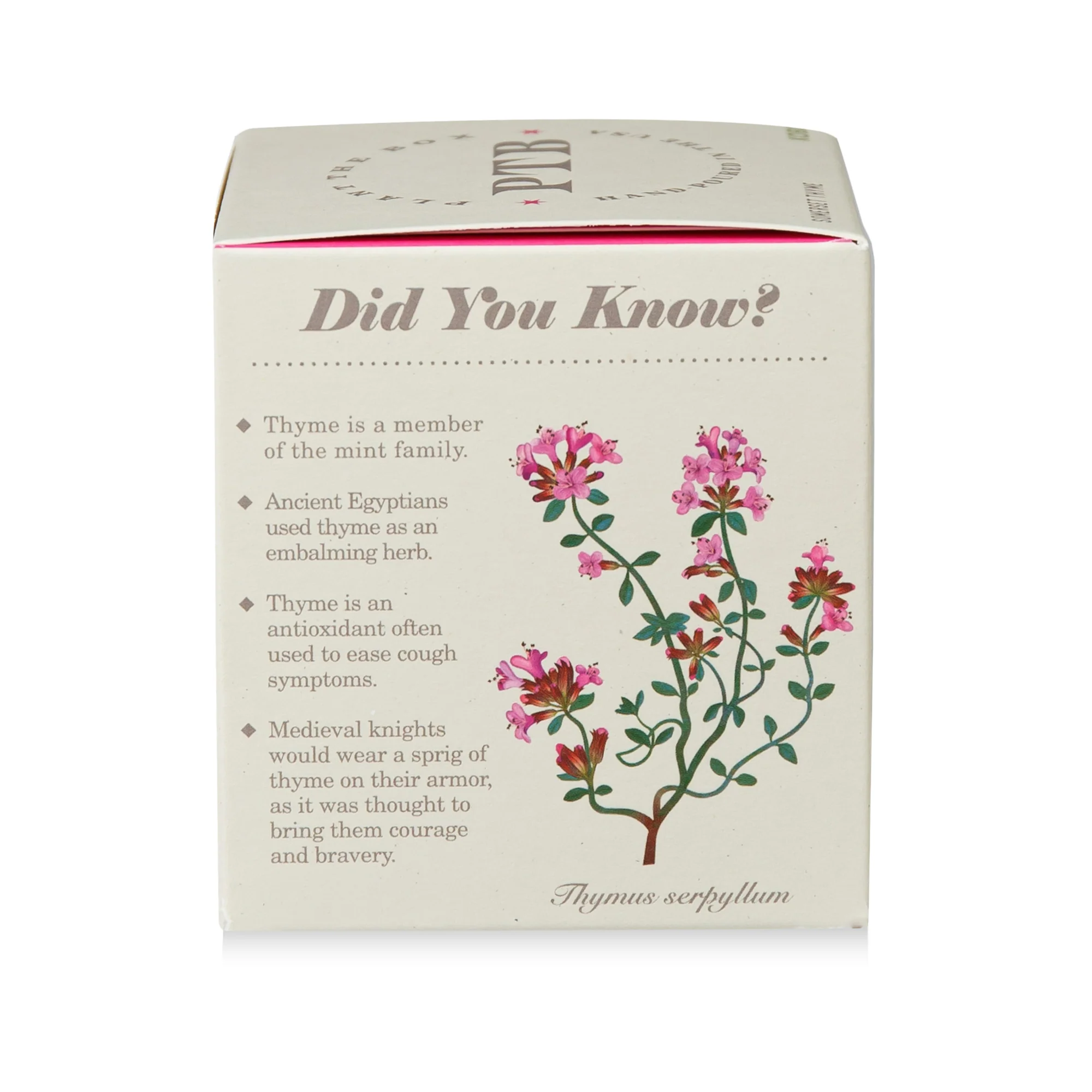 Somerset Thyme Plant The Box Candle - Image 8
