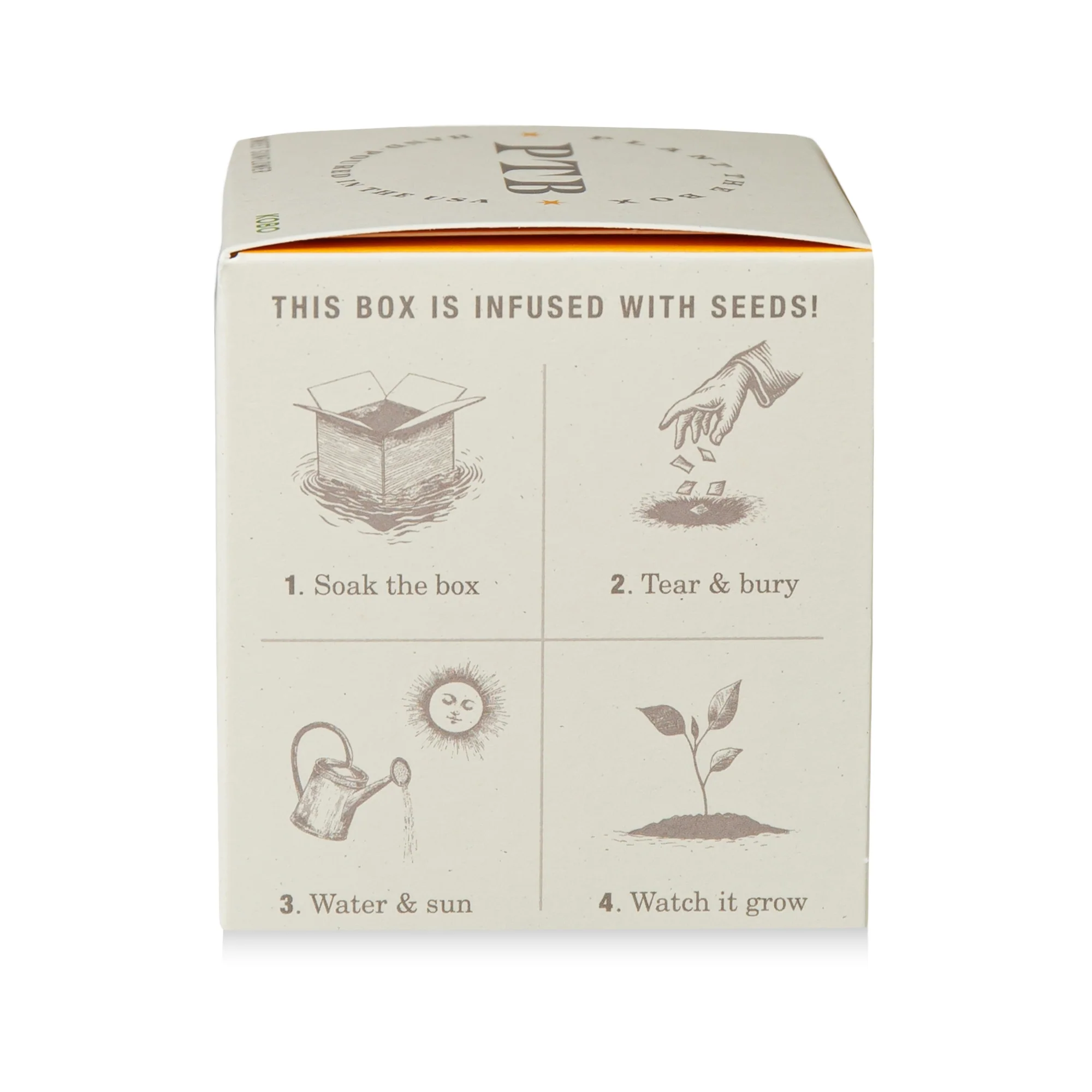 Sweet Sunflower Plant The Box Candle - Image 10